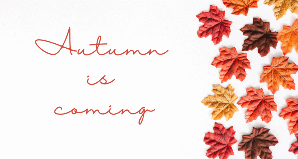 Check-list d’automne : préparer son bien pour la basse saison